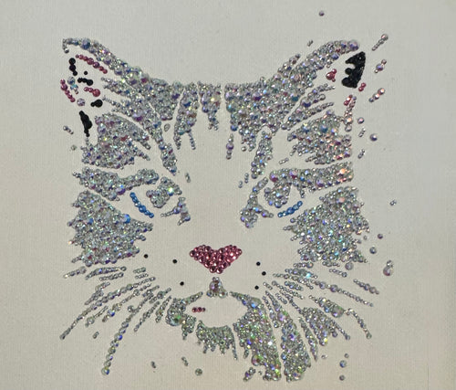 Decorative cat face design made with rhinestones on a white background