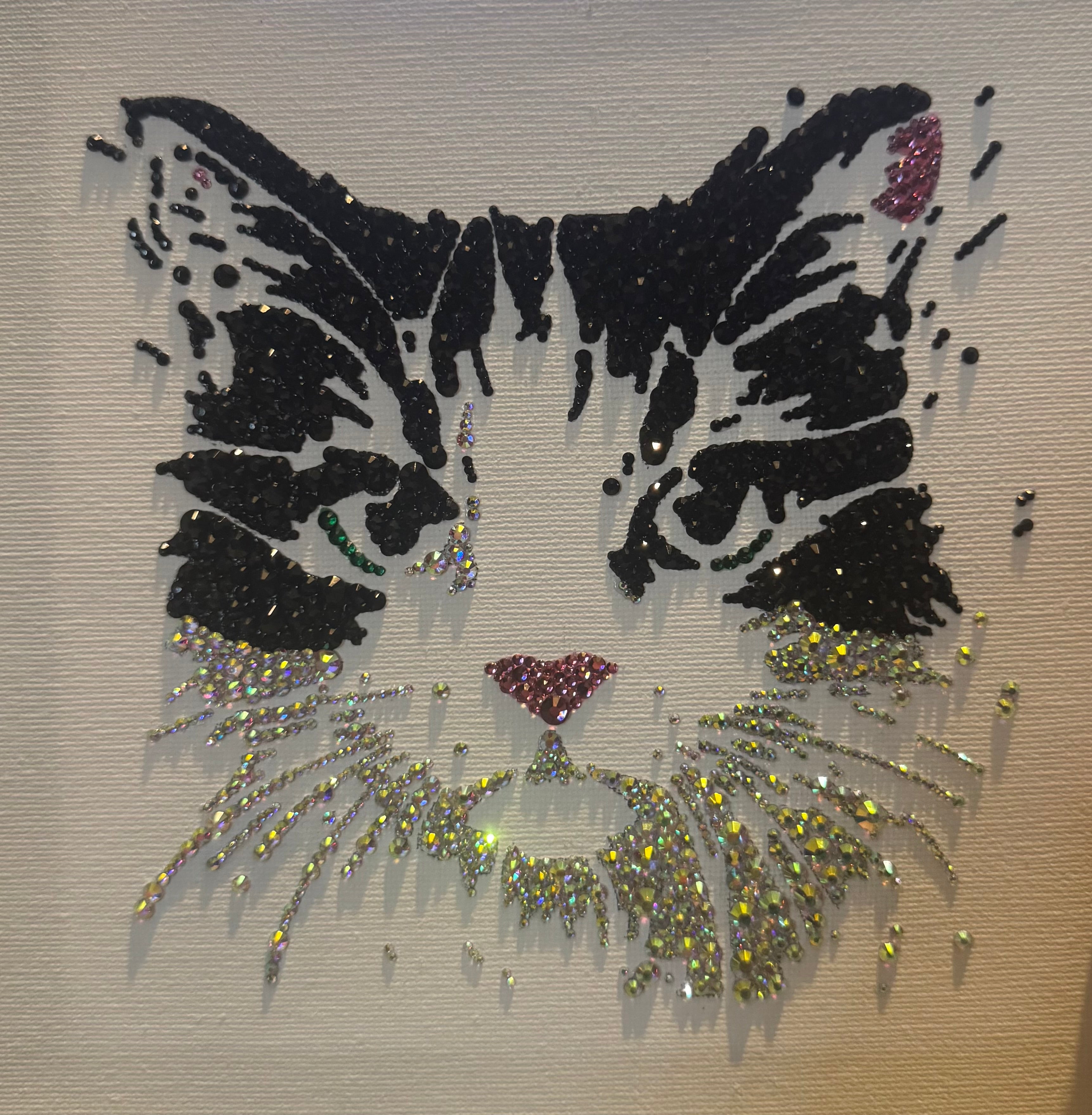 Cat face design with rhinestones on a white background