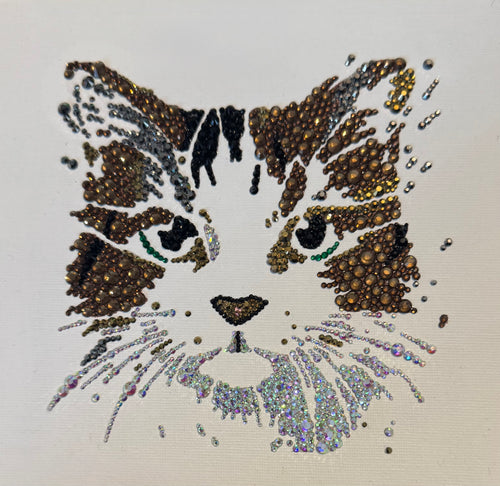 Cat face design made with rhinestones on a white background