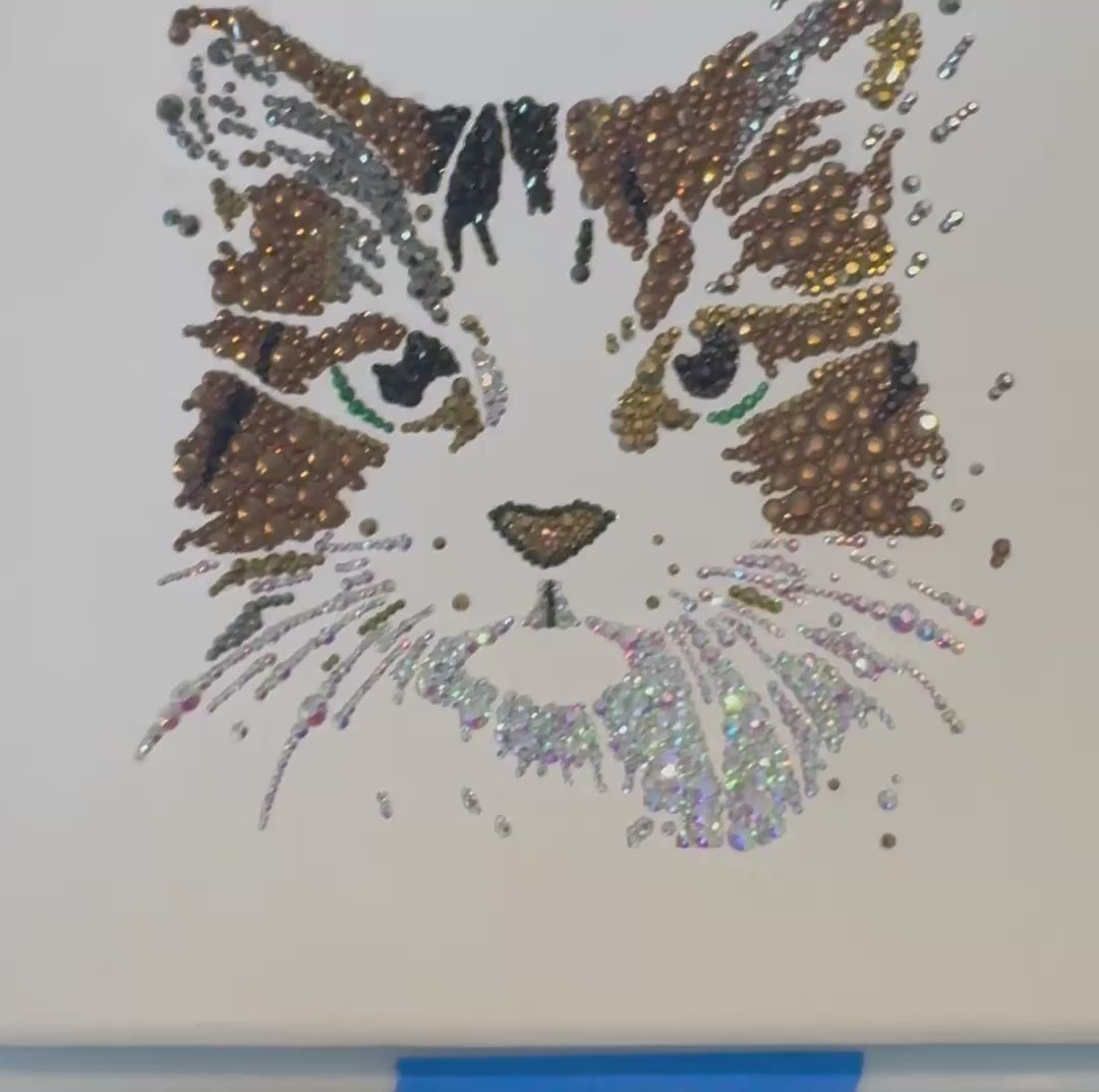 Video of Millie 